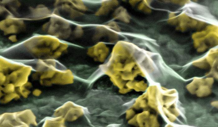 Nanocząstki złota pod warstwą grafenu. Za: martin/Flickr, CC BY-NC Nanocząstki złota