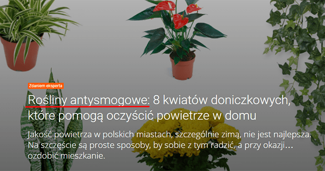 Nagłówek tekstu eksperckiego (?) w internecie. Strona allegro.pl Nagłówek tekstu eksperckiego (?) w internecie. Strona allegro.pl