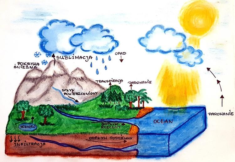 Cykl hydrologiczny, rys. Paulina Piórkowska Cykl hydrologiczny, rys. Paulina Piórkowska