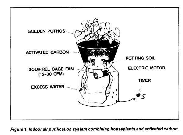 Szkic systemu oczyszczającego powietrze zaczerpnięty z raportu Wolvertona. Najważniejsze elementy: węgiel aktywny (activated carbon), wentylator (squirrel cage fan), potting soil (podłoże) i roślina – Epipremnum aureum (golden pothos). Szkic systemu oczyszczającego powietrze