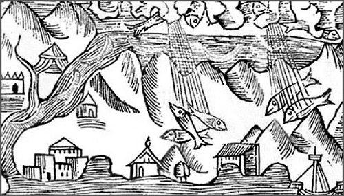 Olaus Magnus, XVI wiek Olaus Magnus, XVI wiek