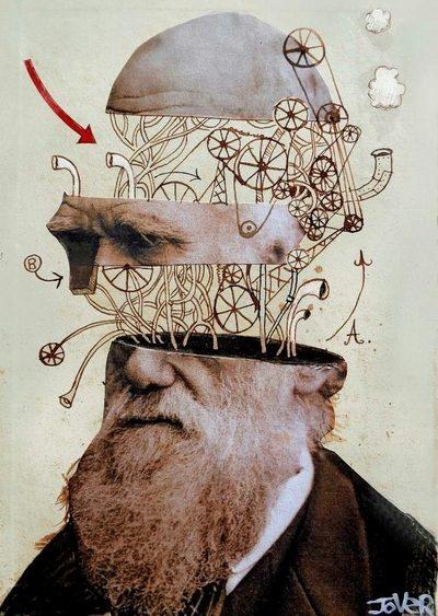 Autor: Loui Jover (Darwin) Autor: Loui Jover (Darwin)
