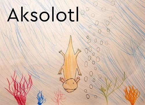 Aksolotl